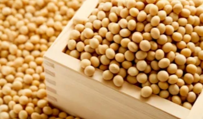 大野醤油の特長